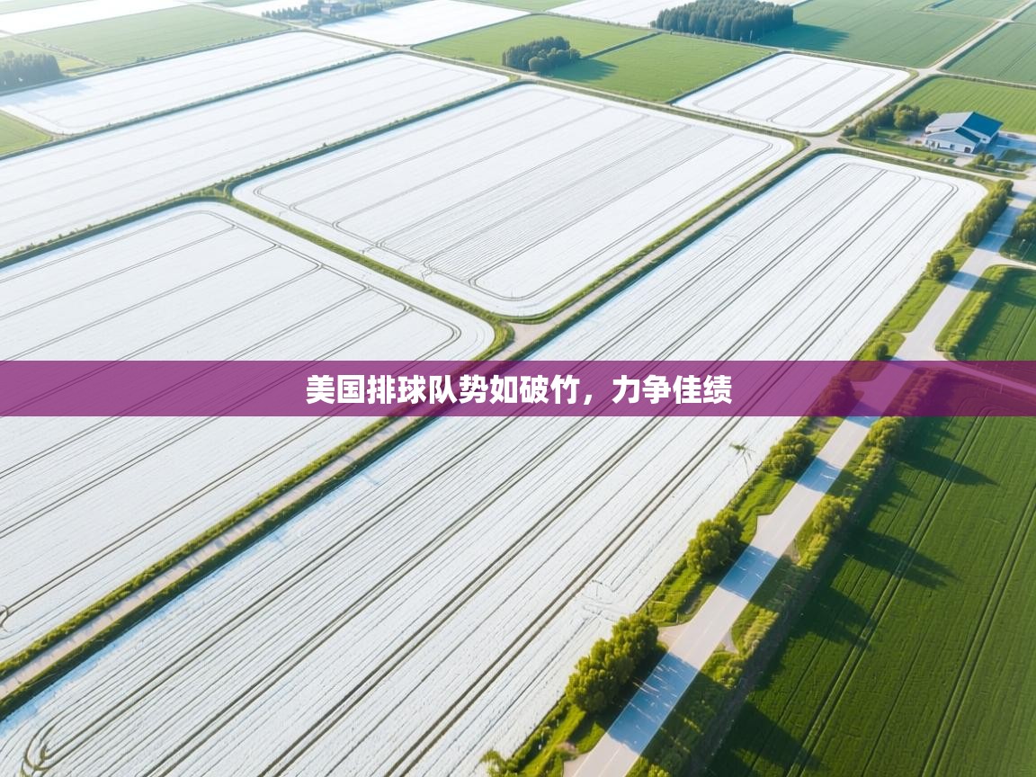 开云体育app评价-美国排球队势如破竹,力争佳绩 第2张