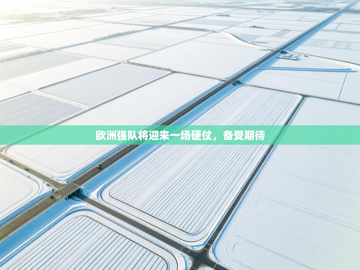 kaiyun sports-欧洲强队将迎来一场硬仗,备受期待 第1张