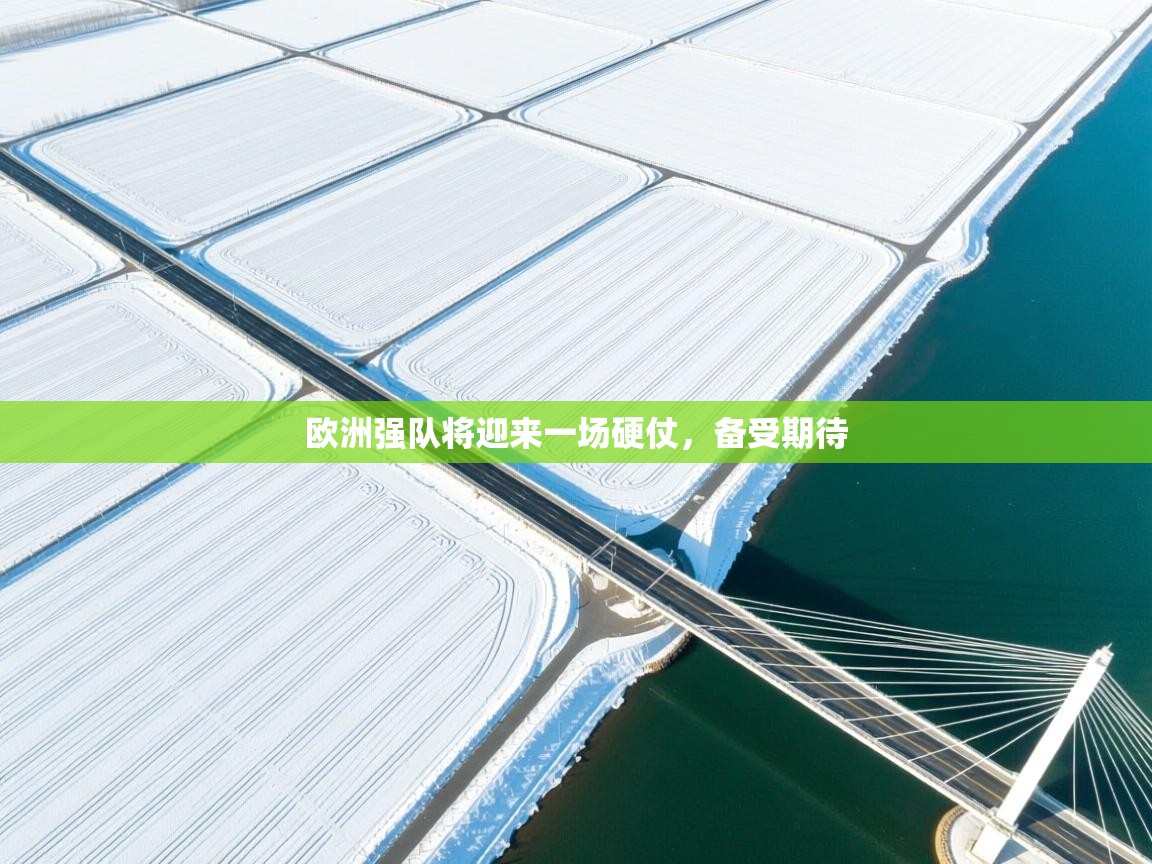 kaiyun sports-欧洲强队将迎来一场硬仗,备受期待 第2张