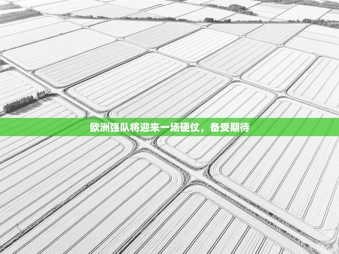 kaiyun sports-欧洲强队将迎来一场硬仗,备受期待 第4张